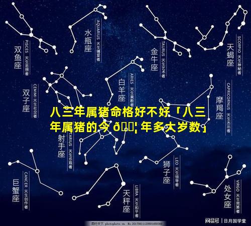 八三年属猪命格好不好「八三年属猪的今 🐦 年多大岁数」
